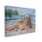 Stupell Industries Coastal Golden Retriever Relaxing Dock Canvas Wall Art